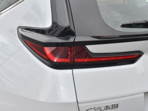2022款e:PHEV 豪华版 尾灯