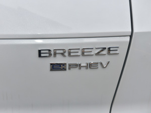 2022e:PHEV A ^