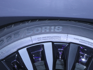 2022Special Edition ^