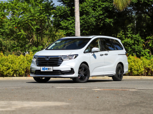 20222.0L e:HEV J ǰ45