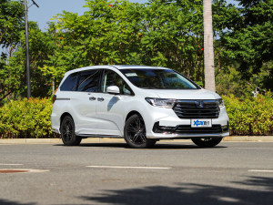 20222.0L e:HEV J ǰ45