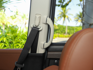 20222.0L e:HEV J п؅^(q)