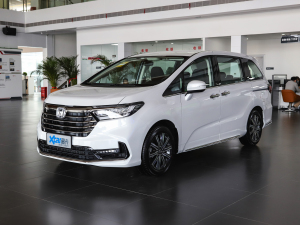 20222.0L e:HEV J ǰ45