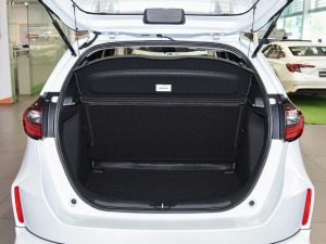 20221.5L CVT oMUGEN g