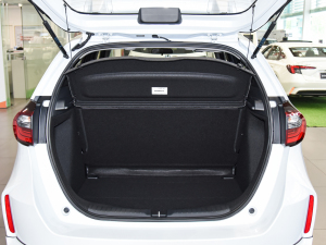 20221.5L CVT oMUGEN g