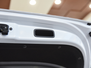 20221.5L CVT oMUGEN g