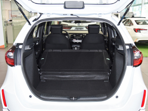 20221.5L CVT oMUGEN g