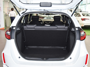 20221.5L CVT oMUGEN g