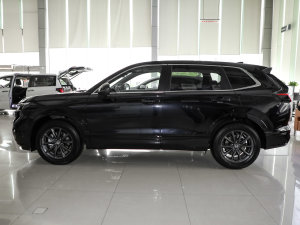 2023款240TURBO 两驱尊贵版PRO 7座 正侧（左）
