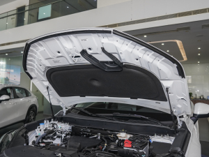 2023款240TURBO 两驱豪华版PRO 7座 发动机舱隔音棉