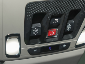 20232.0L e:PHEV F п؅^(q)