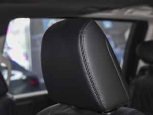 20242.0L e:HEV JI(lng) g