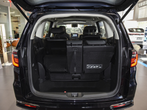 20242.0L e:HEV JI(lng) g