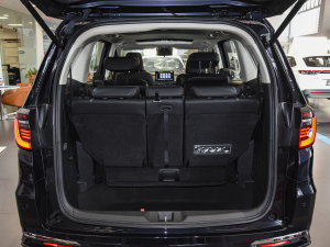 20242.0L e:HEV JI(lng) g