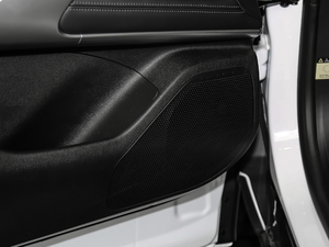 2020PHEV \(yn)(dng) g