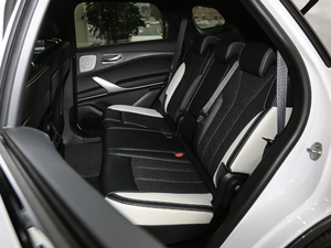 2020PHEV \(yn)(dng) g