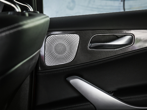 2020PHEV \(yn)(dng) g