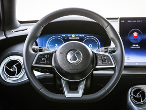 2020PHEV \(yn)(dng) P(pn)