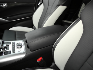 2020PHEV \(yn)(dng) g