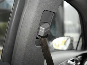 2020PHEV \(yn)(dng) g