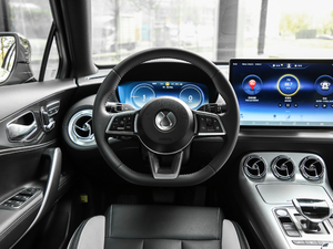 2020PHEV \(yn)(dng) P