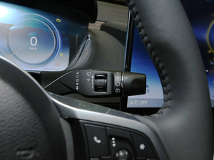 2020PHEV (jng) п؅^(q)