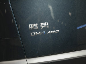 2022DM-i 970 Ş (ji)^