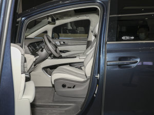 2022DM-i 970 Ş ǰſg