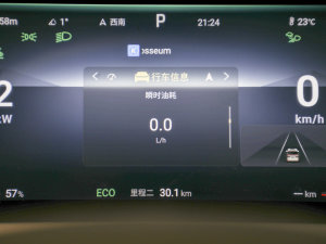 2022DM-i 970 (q)Ş п؅^(q)