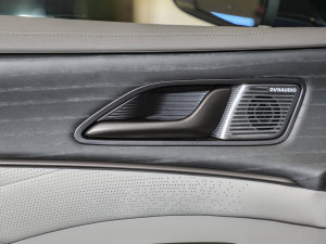 2022DM-i 970 (q)Ş п؅^(q)