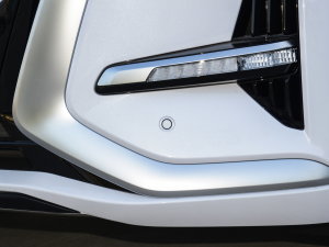 2022DM-i 945 A (ji)^