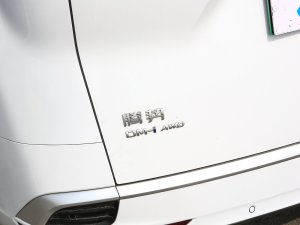 2022DM-i 970 (q)s (x)(ji)^