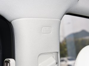 2022EV 620 F п؅^(q)