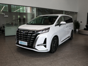 2022DM-i 1040 F ǰ45