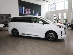 2022DM-i 1040 F (c)ң