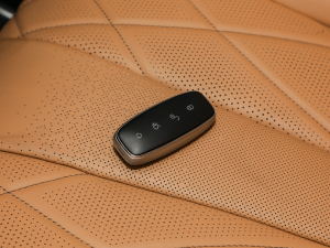 2022DM-i 1040 F ܇耳