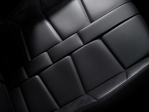 2019������� ���g����