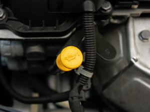 2012款1.6L 风尚版 其它