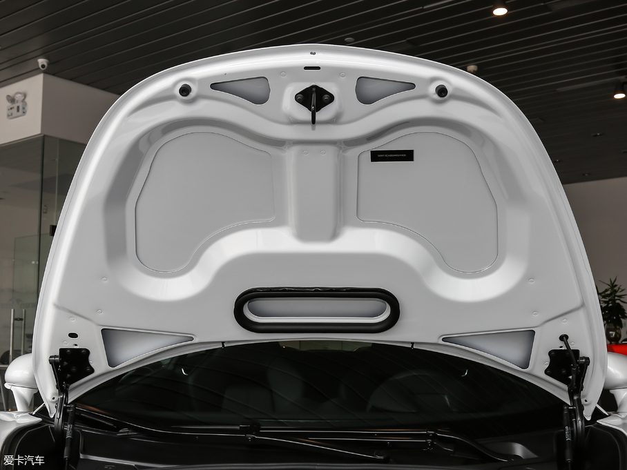 2019~P540C 3.8T Coupe