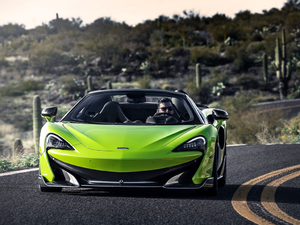 2019��3.8T Spider ���w���^