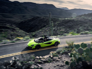 2019��3.8T Spider ���w���^