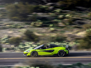 2019��3.8T Spider ���w���^