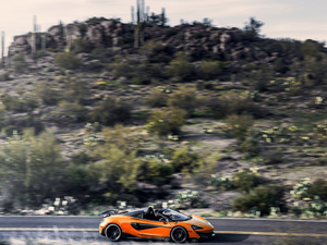 2019��3.8T Spider ���w���^