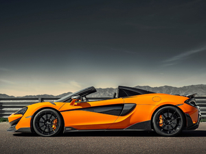 2019��3.8T Spider ���w���^