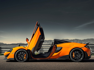 2019��3.8T Spider ���w���^