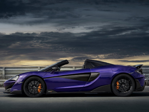 2019��3.8T Spider ���w���^
