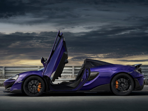 2019��3.8T Spider ���w���^