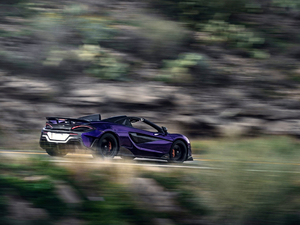 2019��3.8T Spider ���w���^