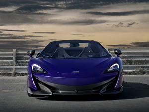 2019��3.8T Spider ���w���^