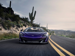 2019��3.8T Spider ���w���^